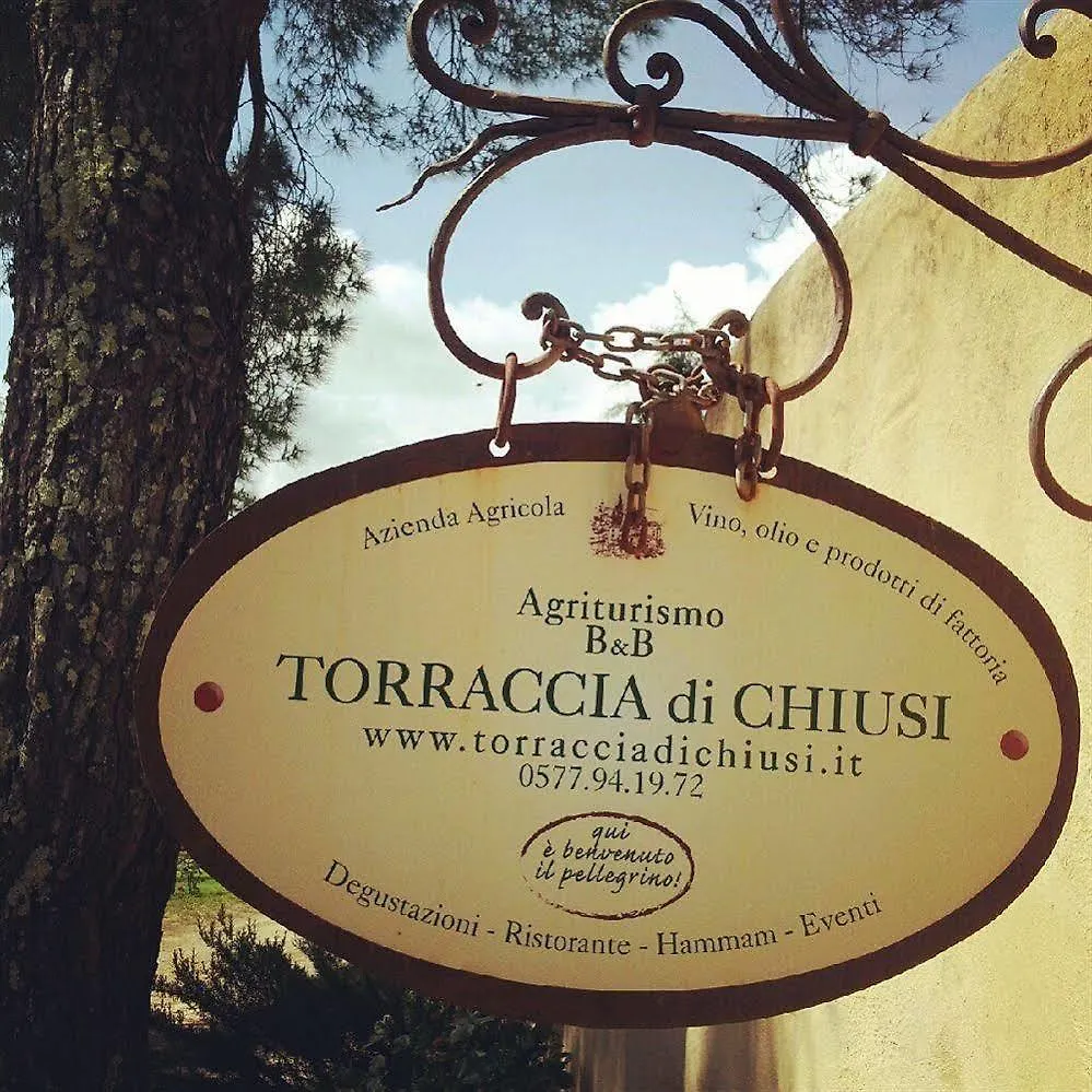 圣吉米纳诺 Torraccia Di Chiusi酒店 意大利